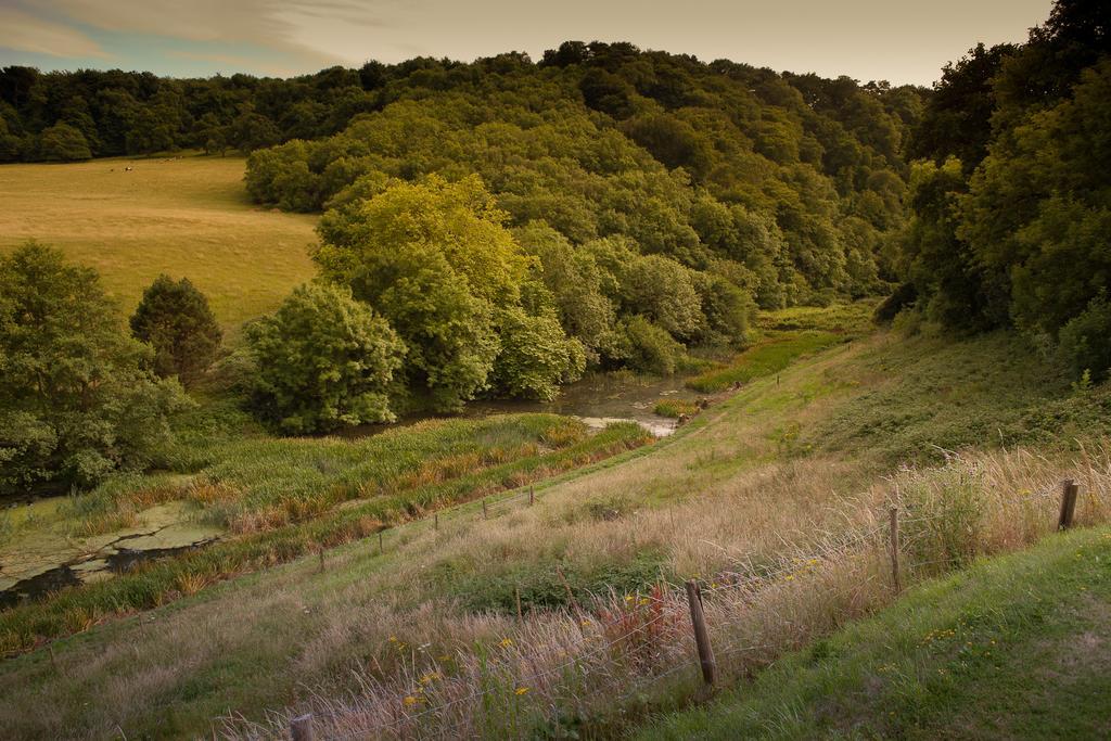 Cwrt Yr Ala Estate Cardiff Dış mekan fotoğraf